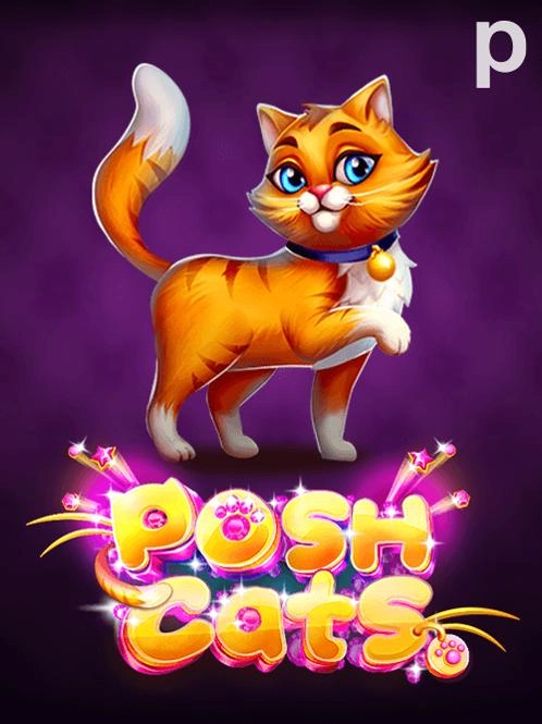 Posh-Cats